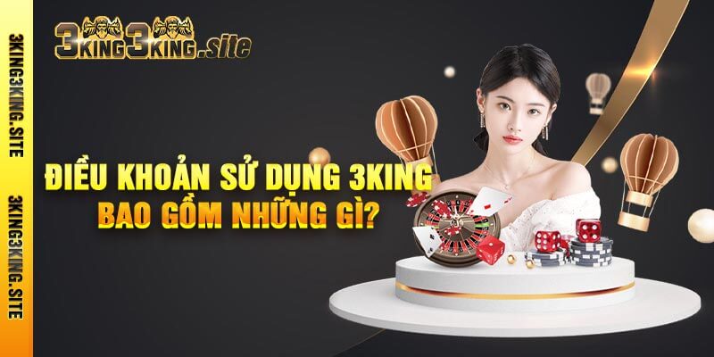 Điều Khoản Sử Dụng 3king Bao Gồm Những Gì?