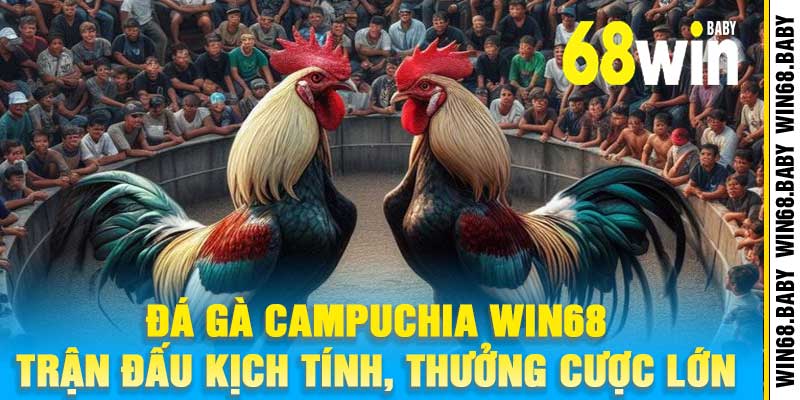 Đá Gà Campuchia Win68 – Trận Đấu Kịch Tính, Thưởng Cược Lớn