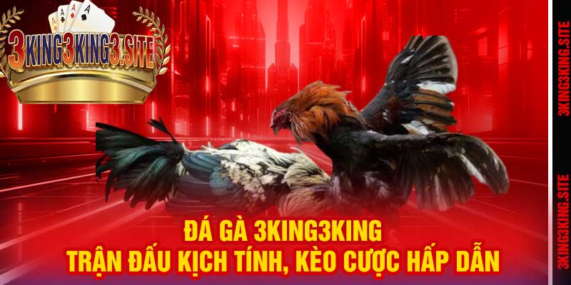 Đá Gà 3king3king – Trận Đấu Kịch Tính, Kèo Cược Hấp Dẫn