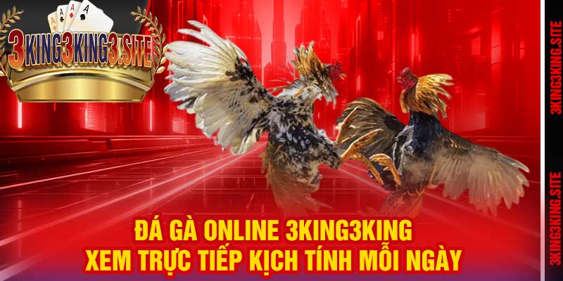Đá Gà Online 3king3king – Xem Trực Tiếp Kịch Tính Mỗi Ngày