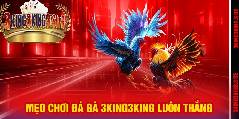 Mẹo chơi Đá Gà 3king3king luôn thắng